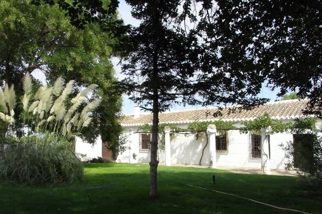 Casa El Carmen Villa Ciudad Real Exterior foto