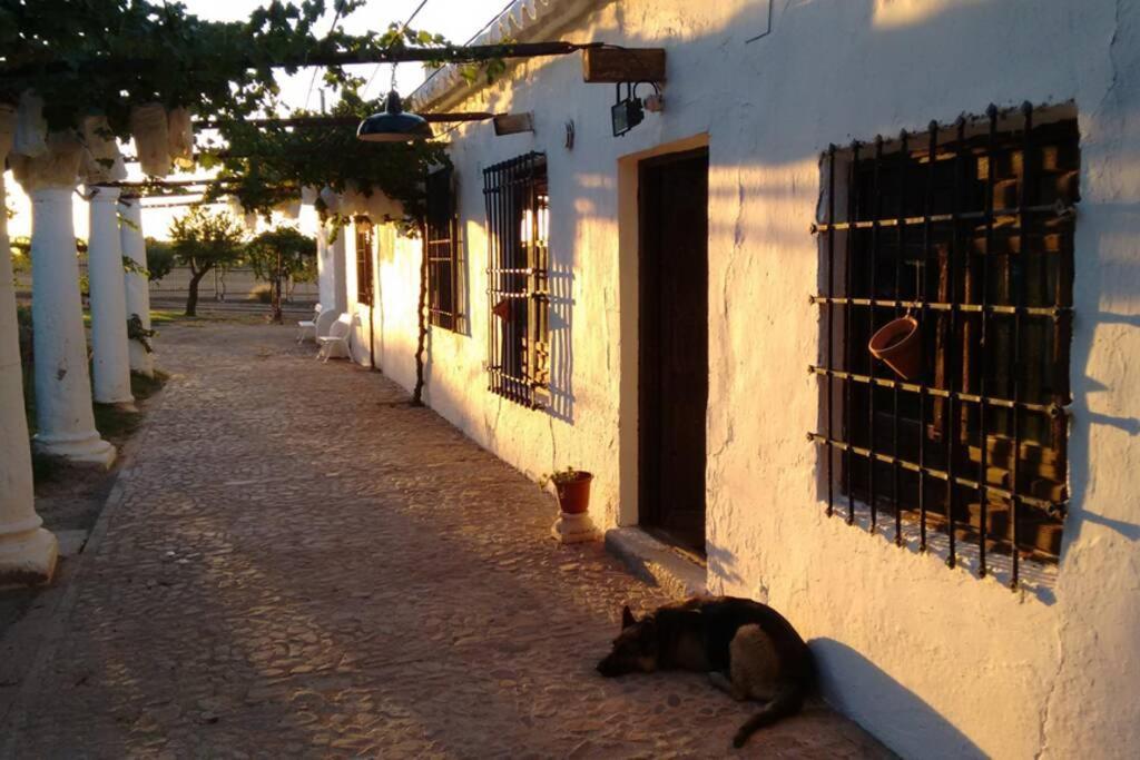 Casa El Carmen Villa Ciudad Real Exterior foto