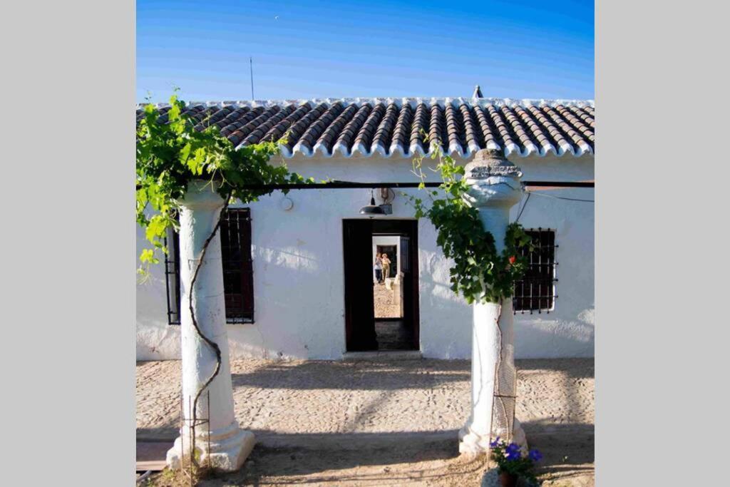 Casa El Carmen Villa Ciudad Real Exterior foto